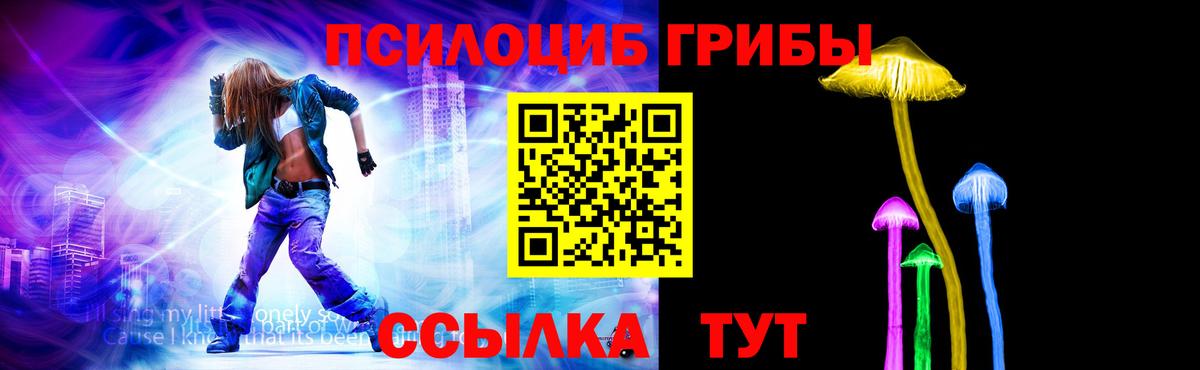 Псилоцибиновые грибы Psilocybine cubensis Лениногорск