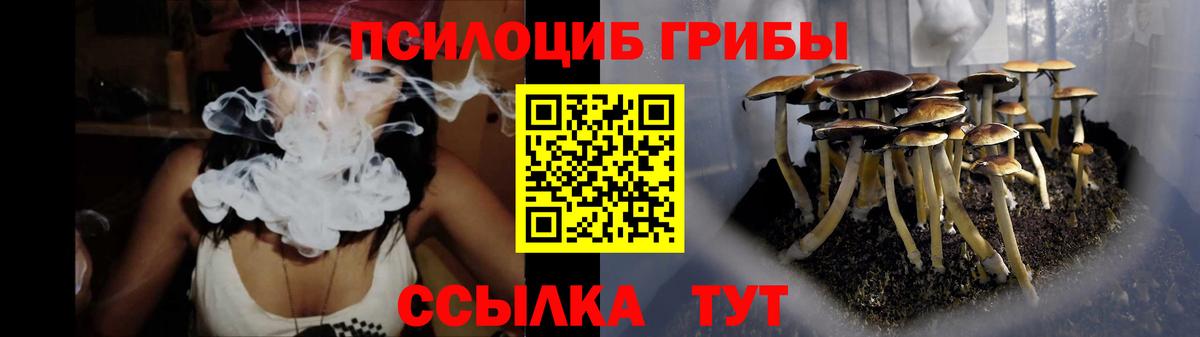 Лениногорск  Галлюциногенные грибы Magic Shrooms  Вход с VPN  Псилоцибиновые грибы прущие грибы 